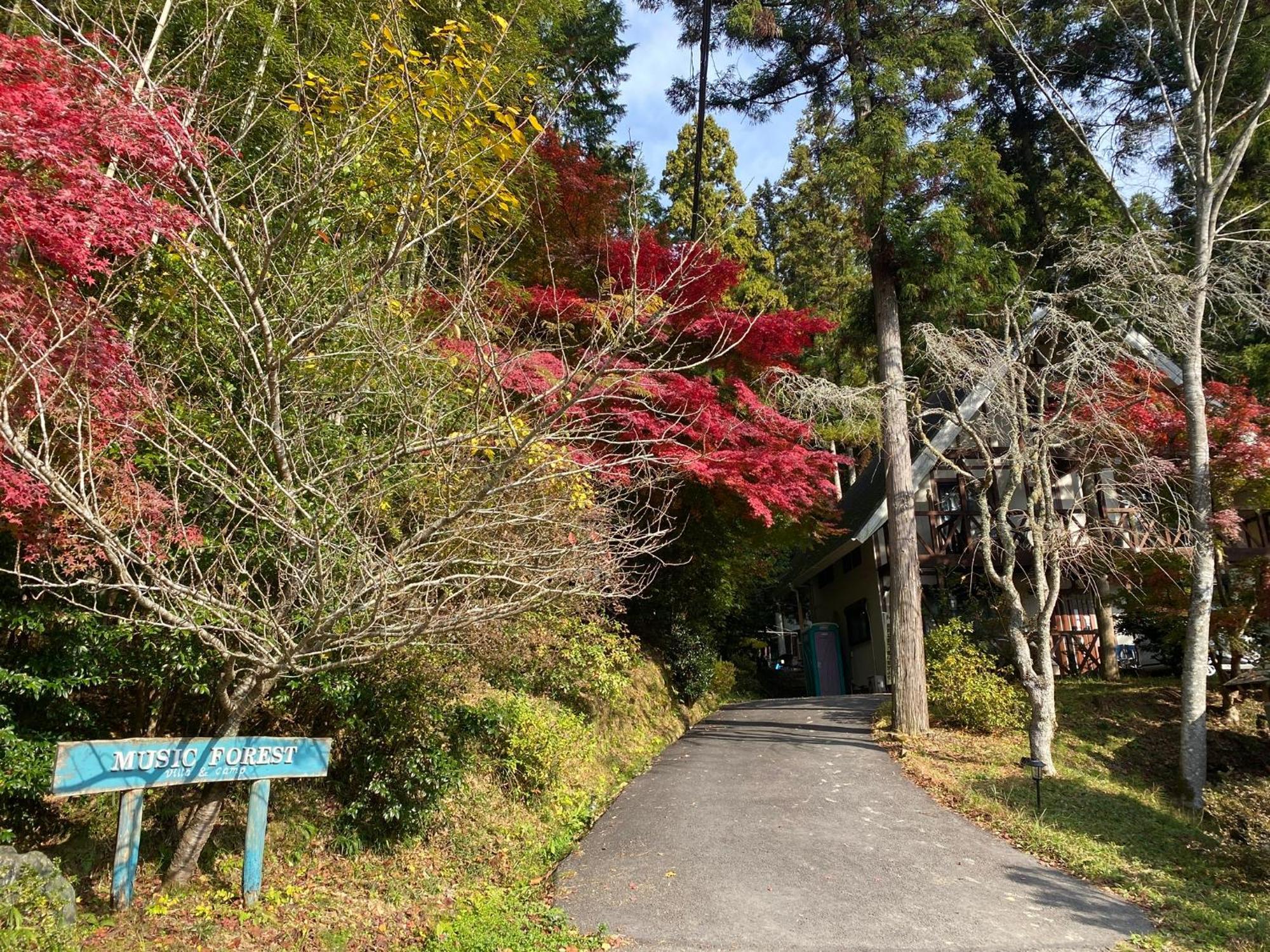 Tamba-Sasayama Music Forest Villa&Camp מראה חיצוני תמונה